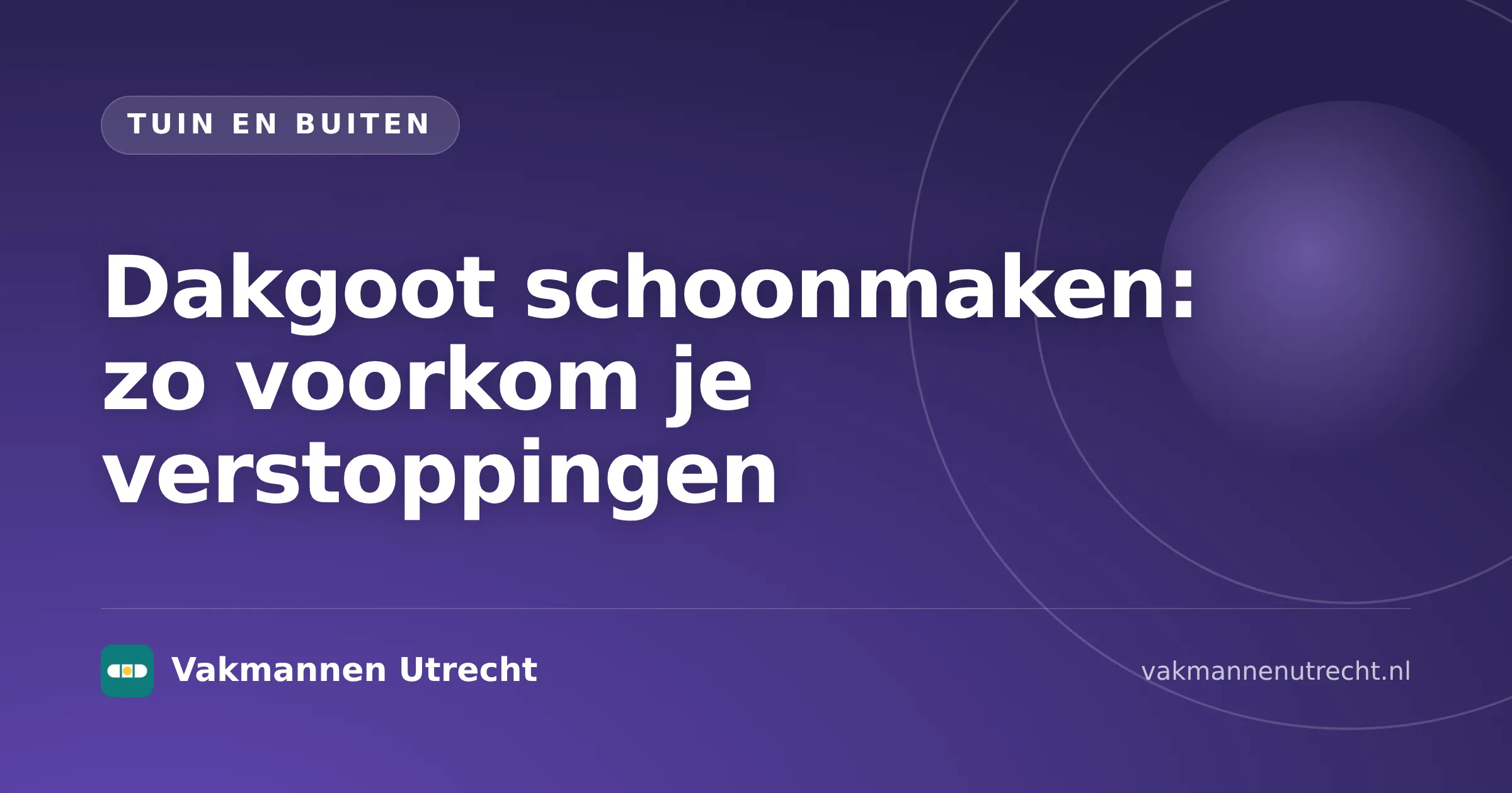 Dakgoot schoonmaken met handschoenen en ladder naast een woning